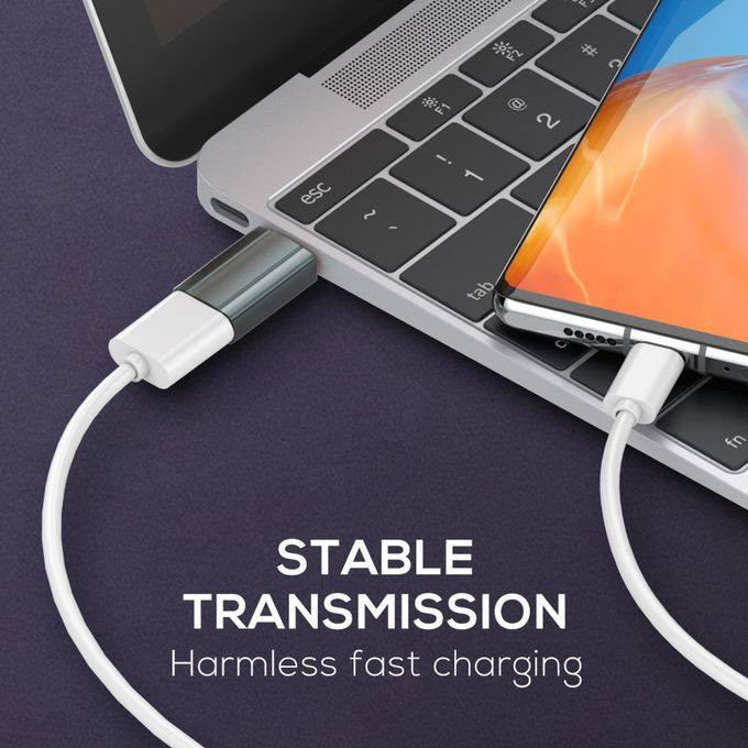 مبدل USB-C به USB الدینیو مدل FAST-LD